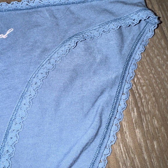 VICTORIA SECRET BLUE ALPINE ANGEL HIGH WAIST LACE TRIM COTTON BIKINI PANTY LARGE - Picture 11 of 13